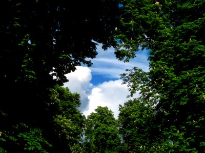 Nature Sky Vegetation Green