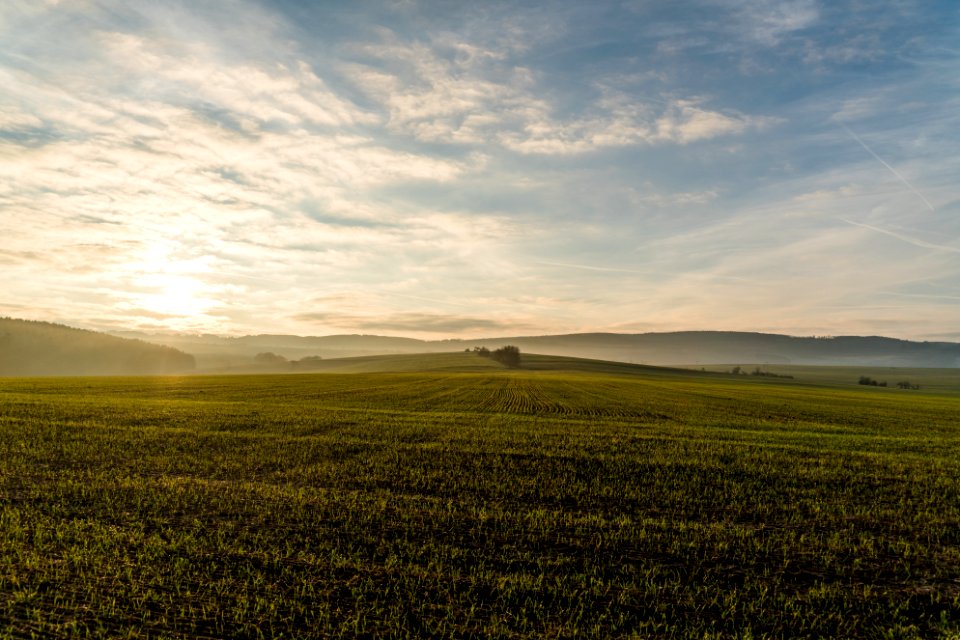 Sky Field Grassland Plain