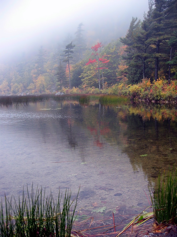 Water lake reflections photo