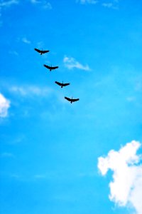 Sky Flight Air Travel Atmosphere Of Earth