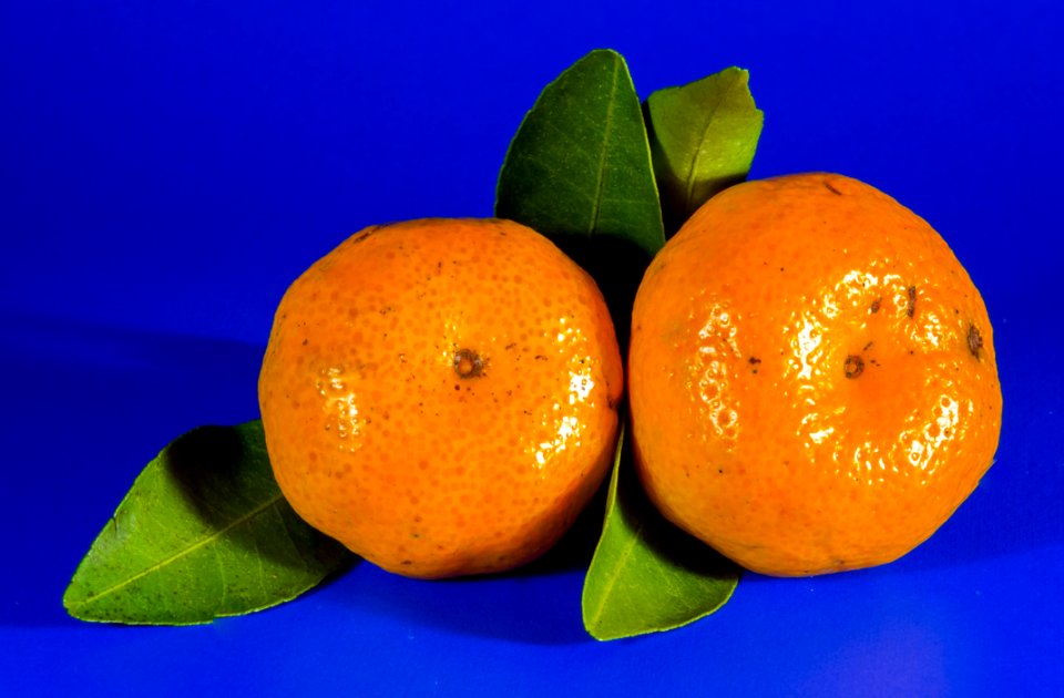 Citrus Tangerine Fruit Clementine