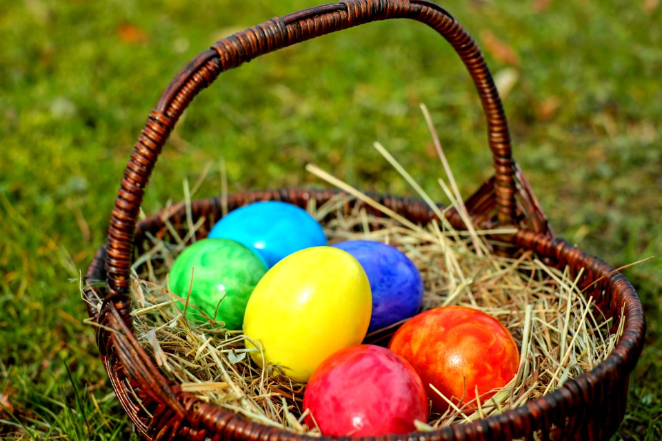 Easter Egg Grass Easter Egg