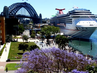 Cruise Ship In Harbour