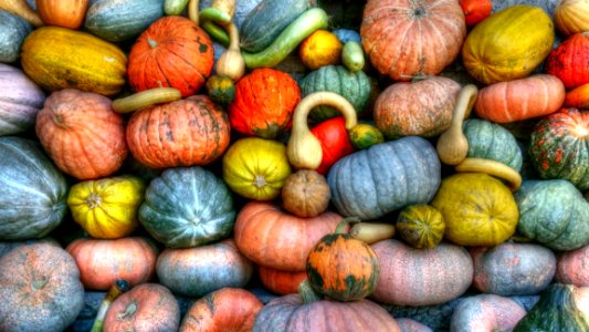 Green Orange And Yellow Pumpkins