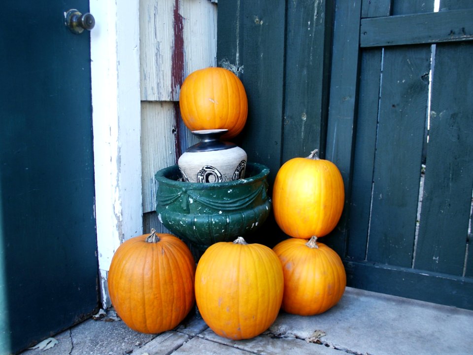 Pumpkin Cucurbita Winter Squash Calabaza