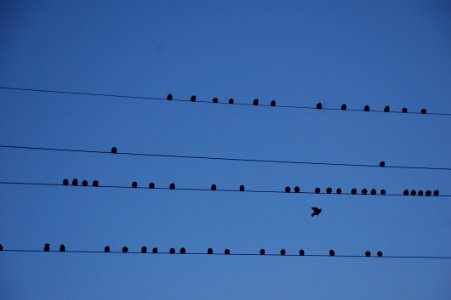 Sky Atmosphere Of Earth Line Daytime
