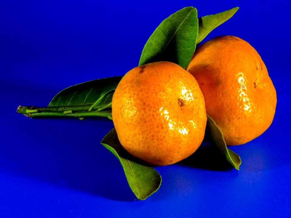 Citrus Fruit Clementine Tangerine
