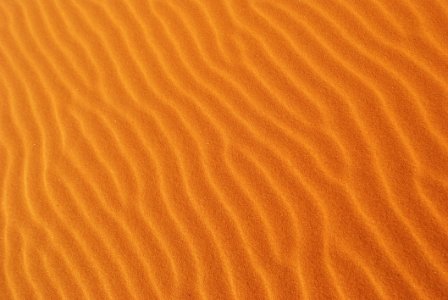 Orange Yellow Erg Sand photo