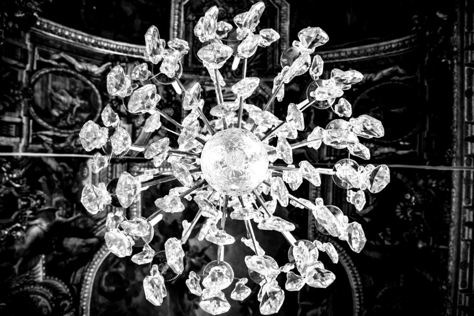 Black And White Monochrome Photography Monochrome Flora