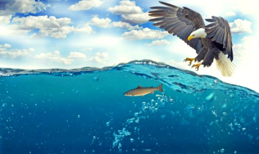Sky Water Computer Wallpaper Sea
