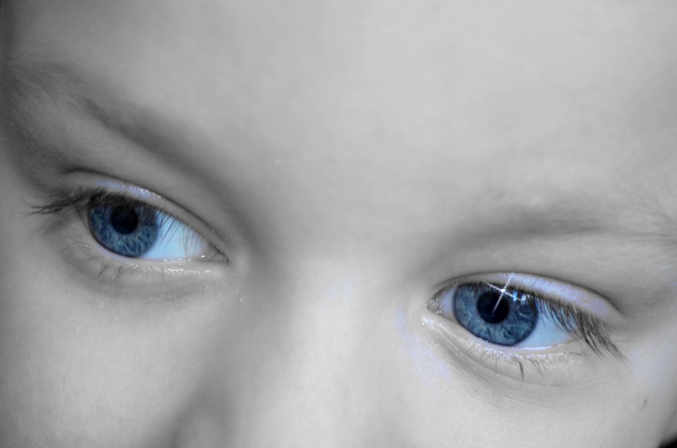 Eyebrow Face Eye Nose