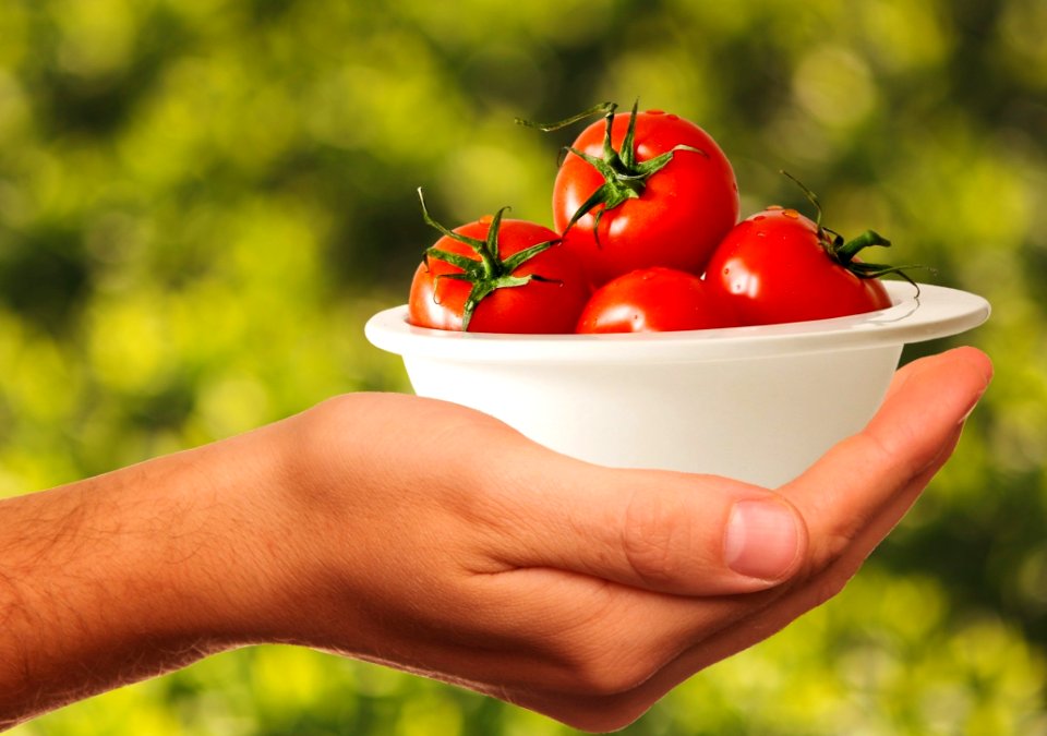 Natural Foods Local Food Vegetable Tomato