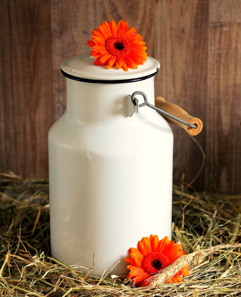 Vase Flower Ceramic Still Life Photography