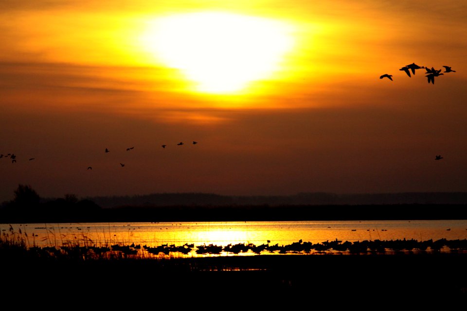 Sky Afterglow Horizon Sunset