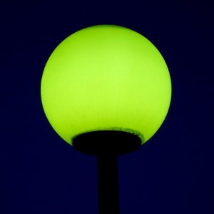 Yellow Green Light Daytime