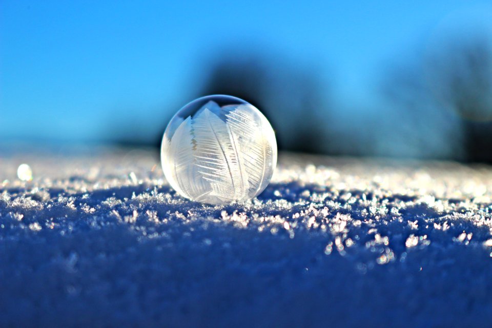 Water Macro Photography Close Up Atmosphere Of Earth