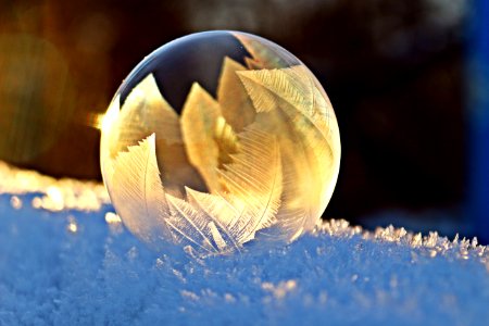 Close Up Macro Photography Freezing Computer Wallpaper photo