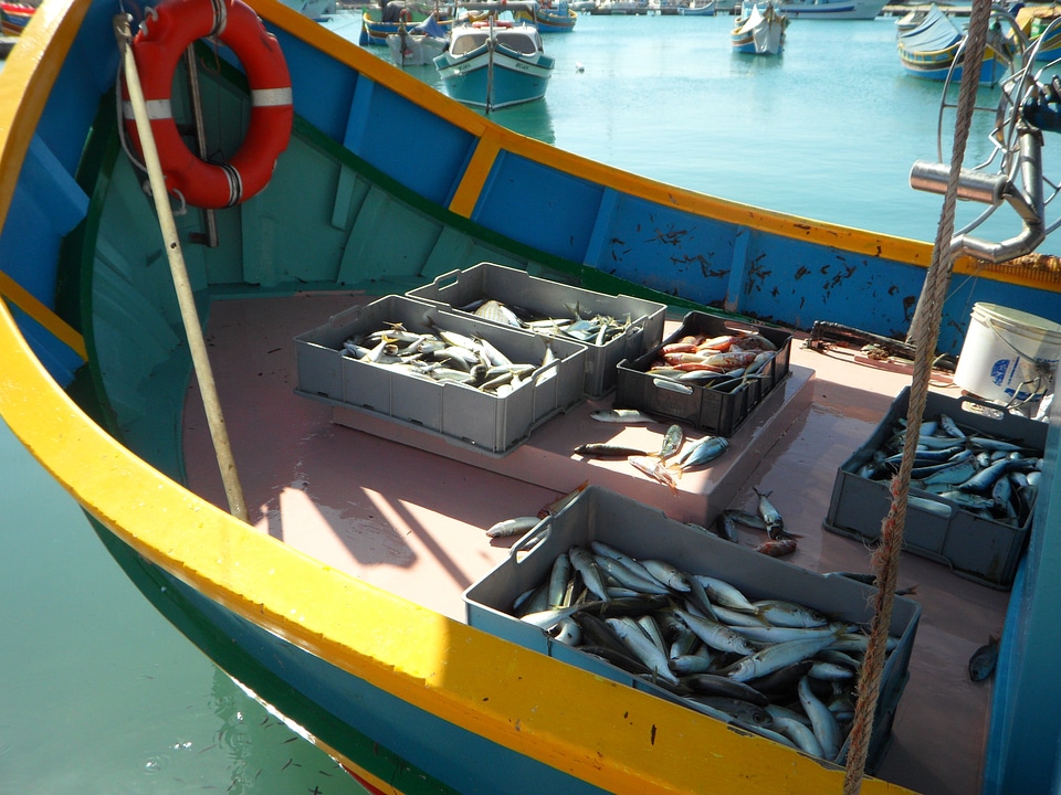 Marsaxlokk fisherman fang