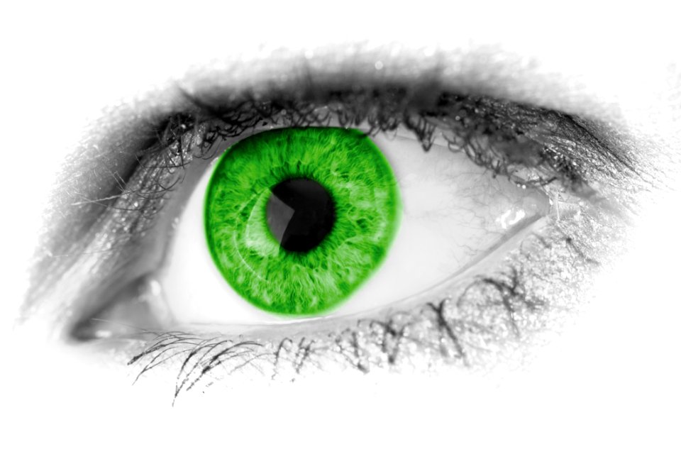 Eye Green Eyebrow Close Up