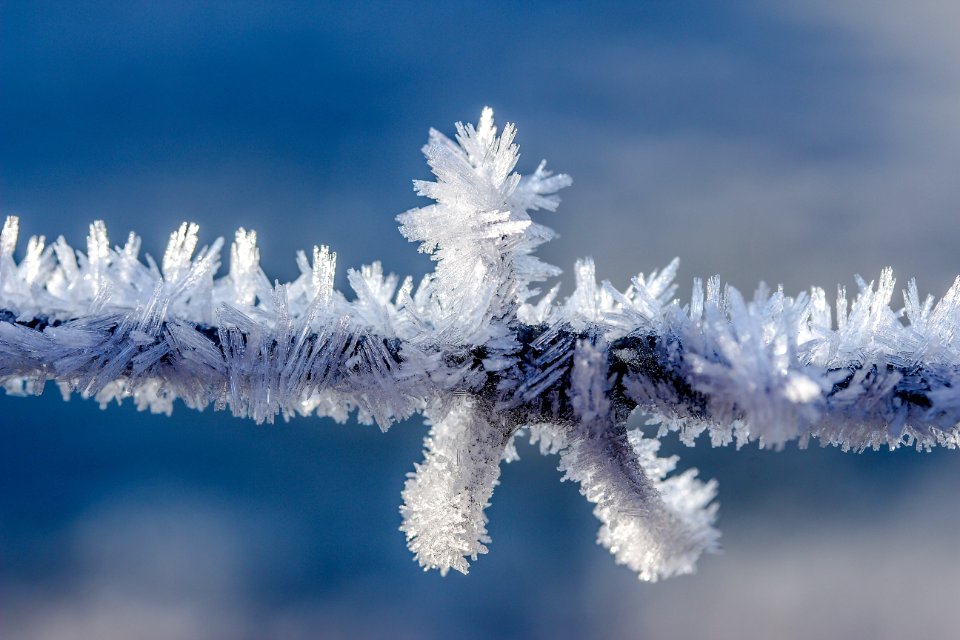 Frost Freezing Winter Sky