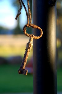 Macro Photography Metal