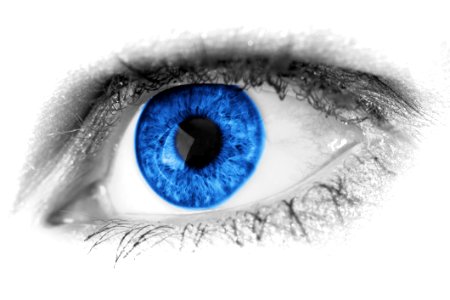 Blue Eye Eyebrow Eyelash