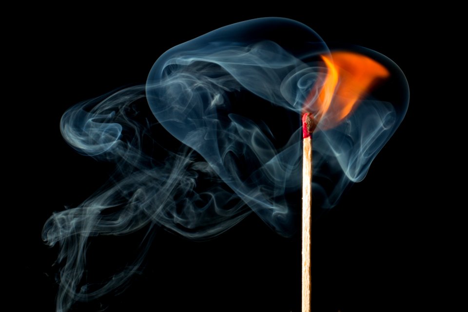 Smoke Organism Computer Wallpaper Darkness