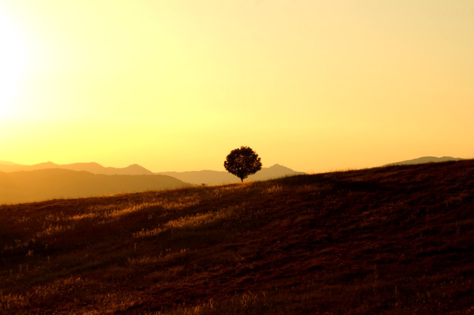 Ecosystem Sky Morning Atmosphere Of Earth