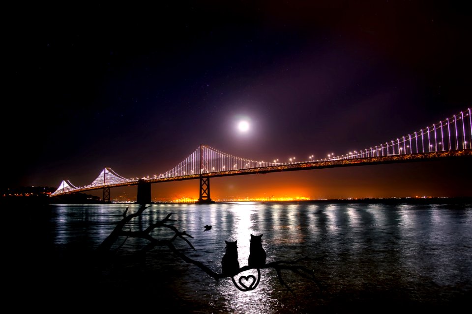 Bridge Night Water Reflection