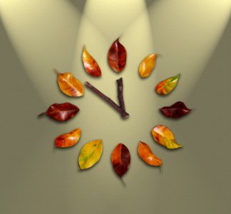 Leaf Petal Flora Still Life Photography