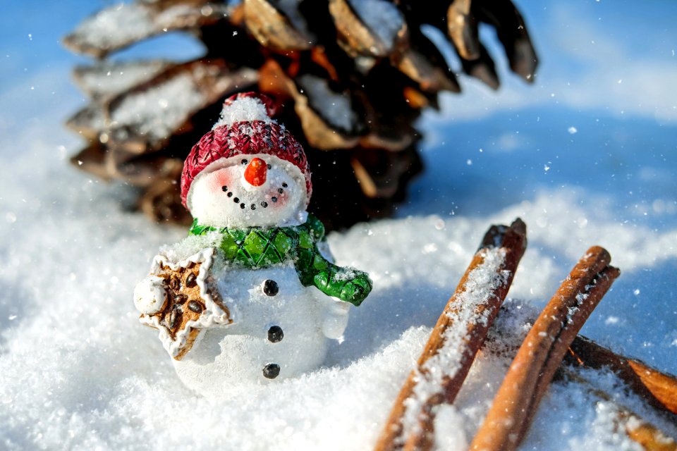 Winter Snow Snowman Freezing