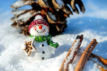 Winter Snow Snowman Freezing