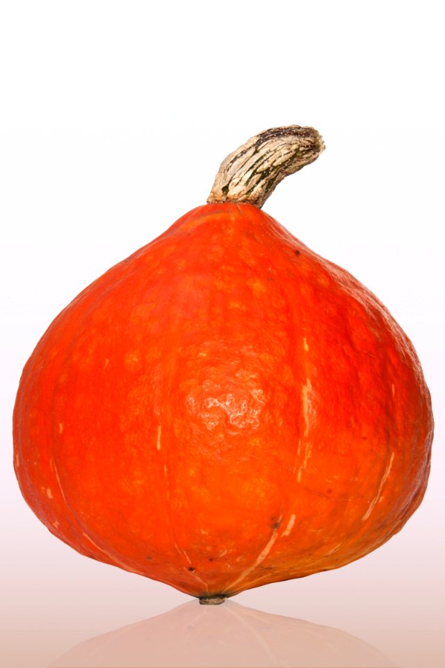 Winter Squash Cucurbita Calabaza Produce