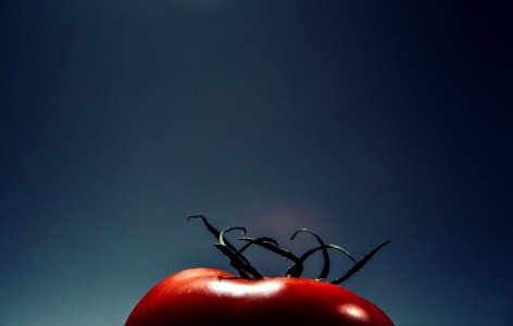 Red Tomato
