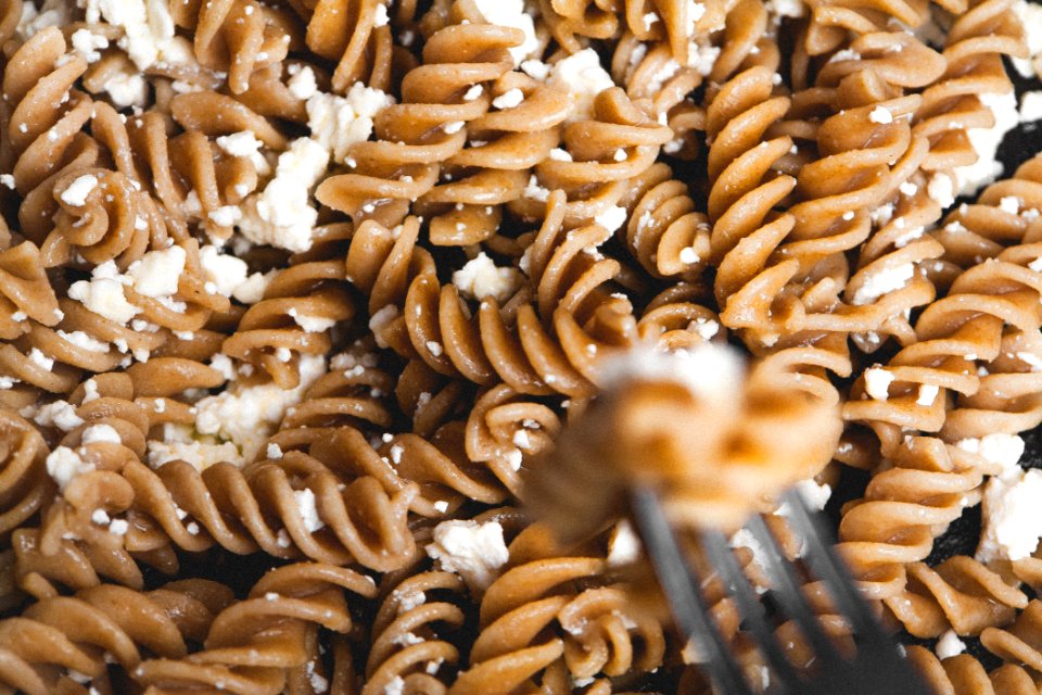 Pasta Noodles With Cheese