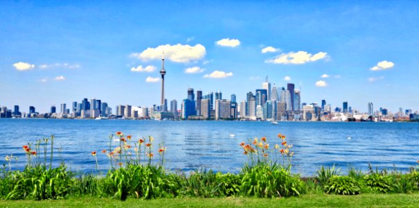 Toronto Canada Skyline Over Waterfront