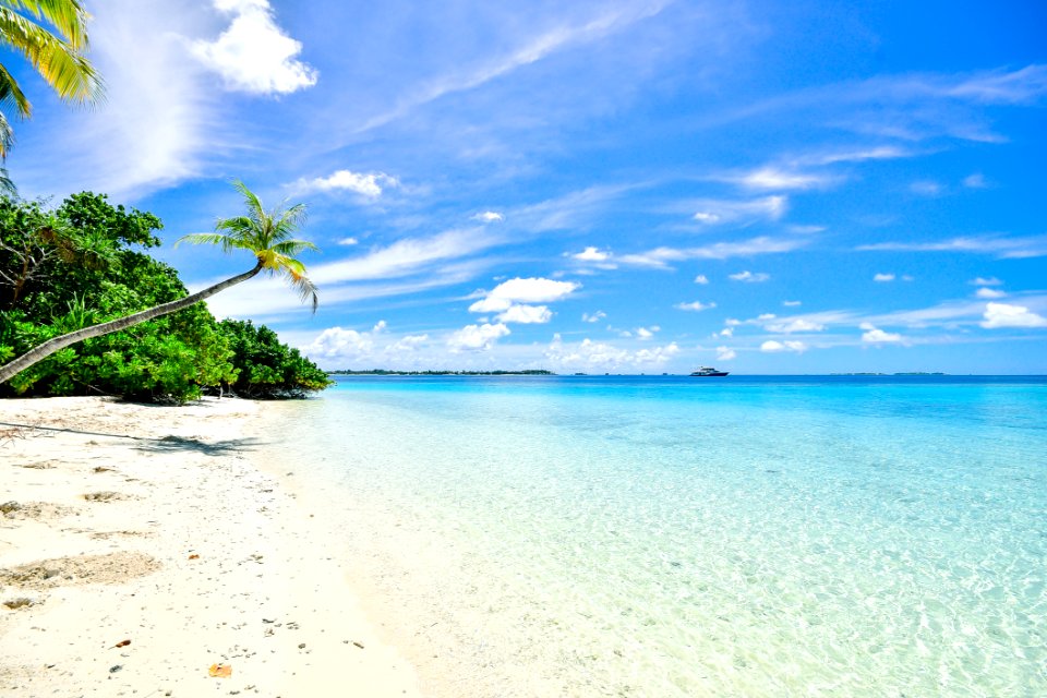 Idyllic Tropical Beach