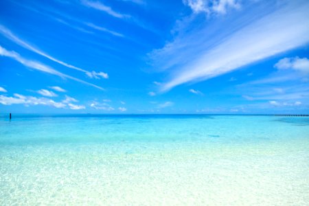 Tropical Sea
