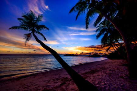 Sunset On A Tropical Beach photo