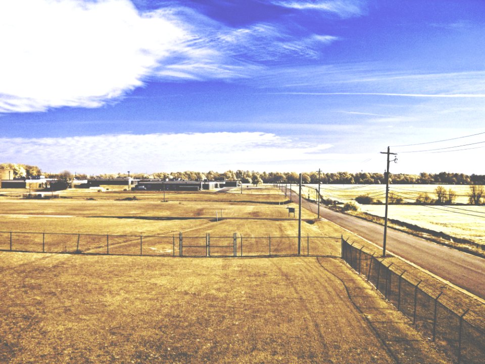 Dry Grass Fields