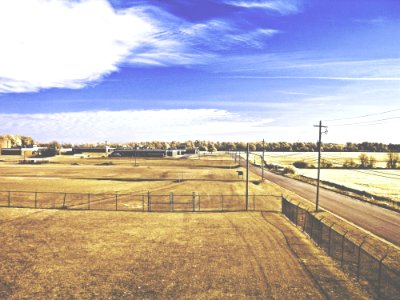 Dry Grass Fields