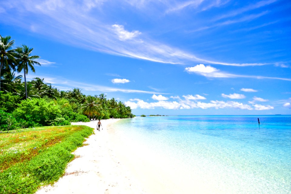 Tropical Beach