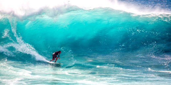 Surfer