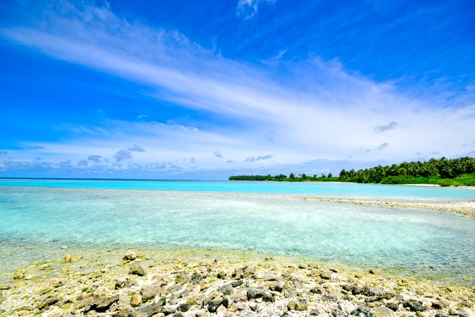 Sandy Beach On Coastline
