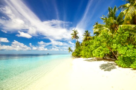 Secluded Sandy Beach