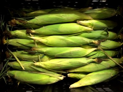 Corn On The Cob