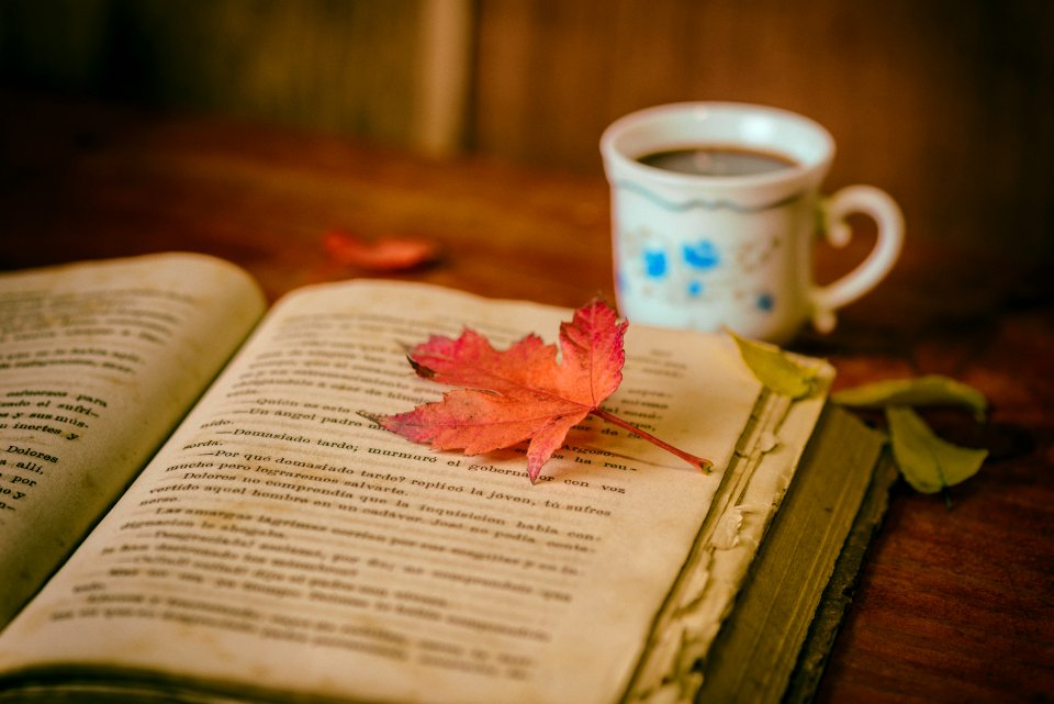 Book Next To A Cup Of Coffee photo