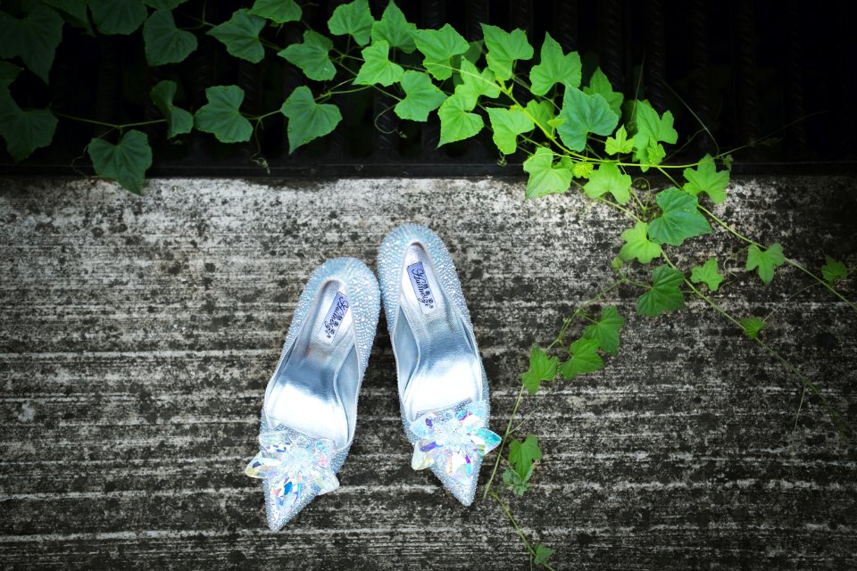 Silver Shoes In Garden