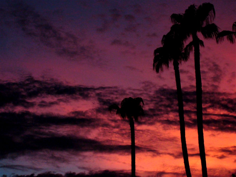 My Evening View From The Driveway