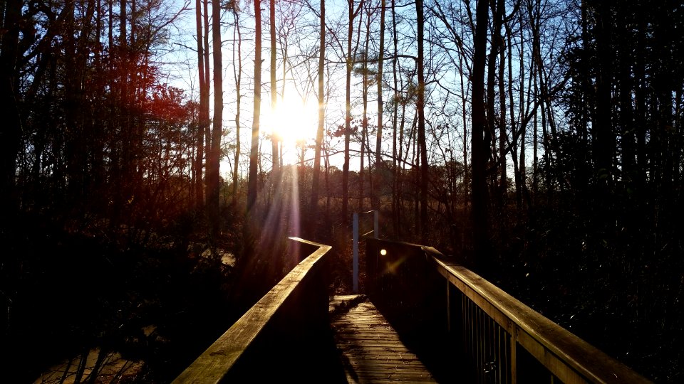 Sunset Off The Trail